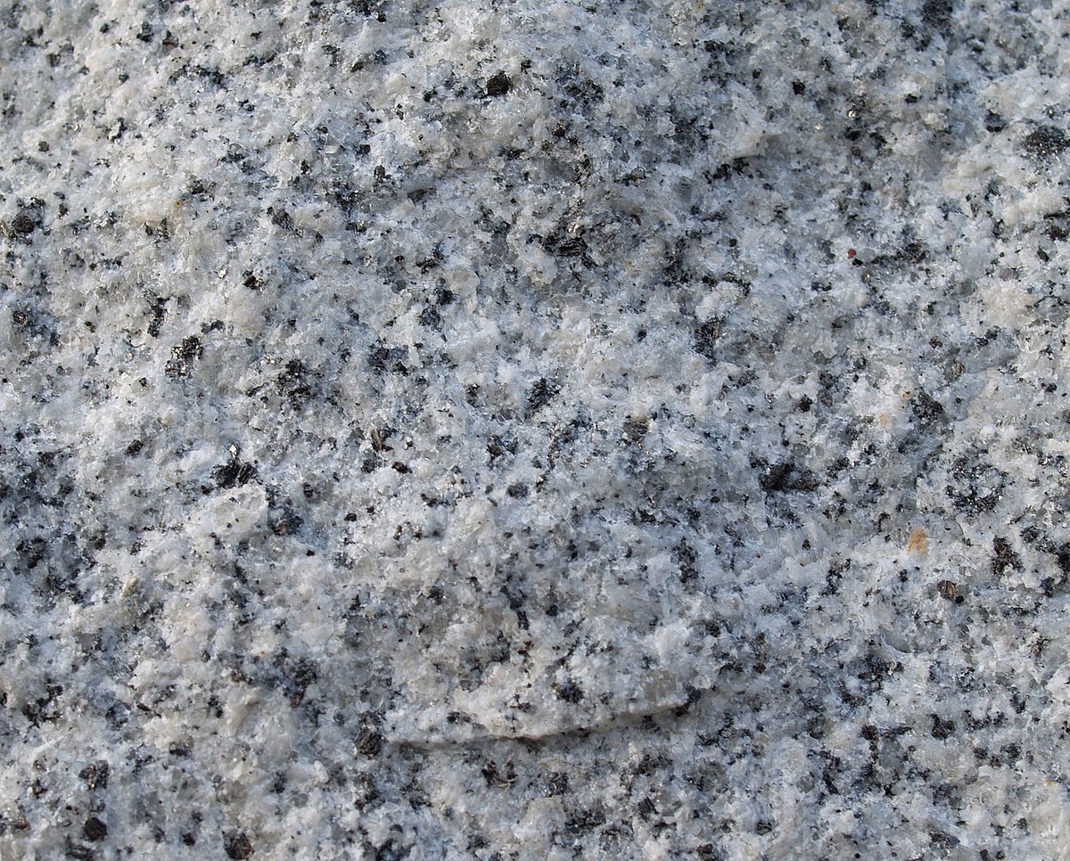 Granitoid