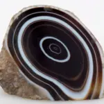 Photo credit UCL Geology Collections