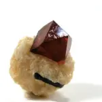 Zircon-dtn1a-jpg