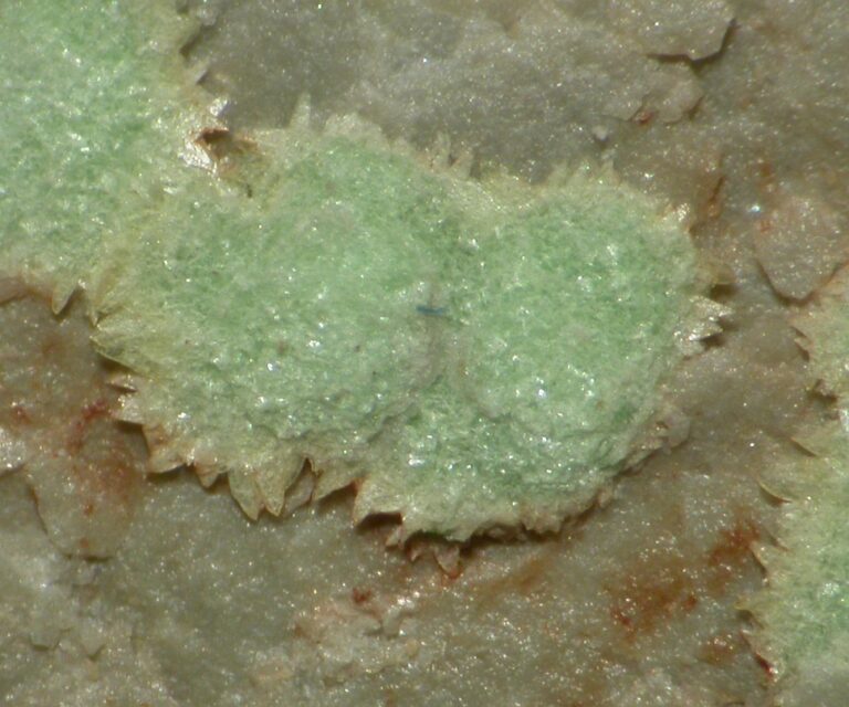 Abernathyit
