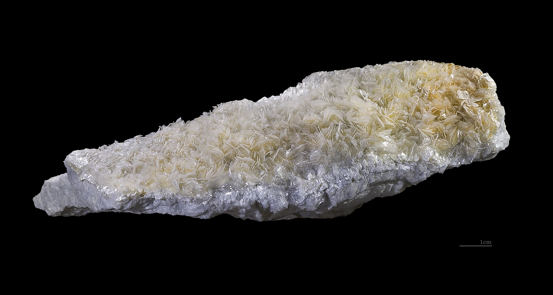 Mastek