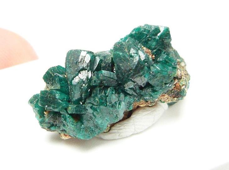 Euchroit
