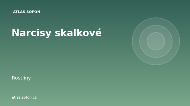 Narcisy skalkové