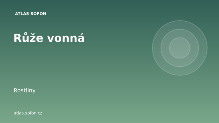 Růže vonná