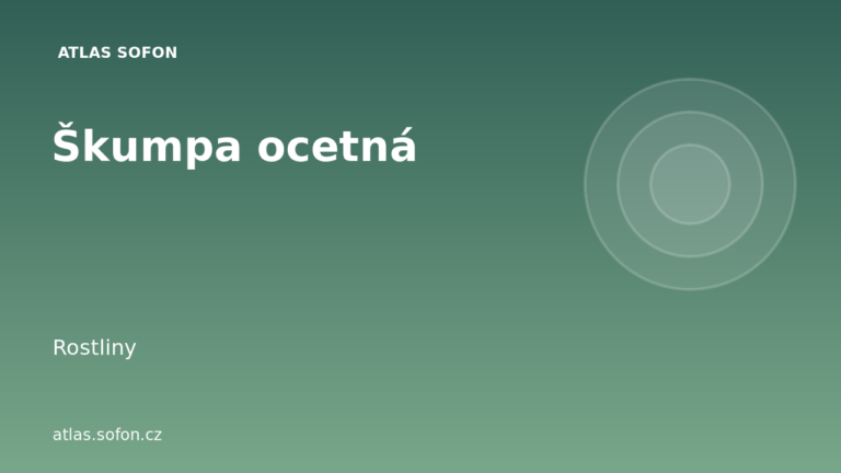 Škumpa ocetná