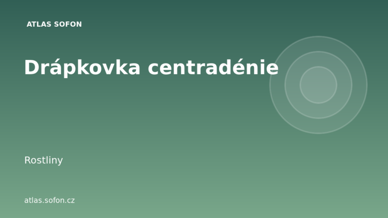Drápkovka centradénie