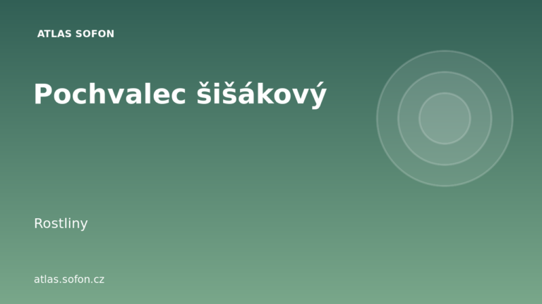 Pochvalec šišákový