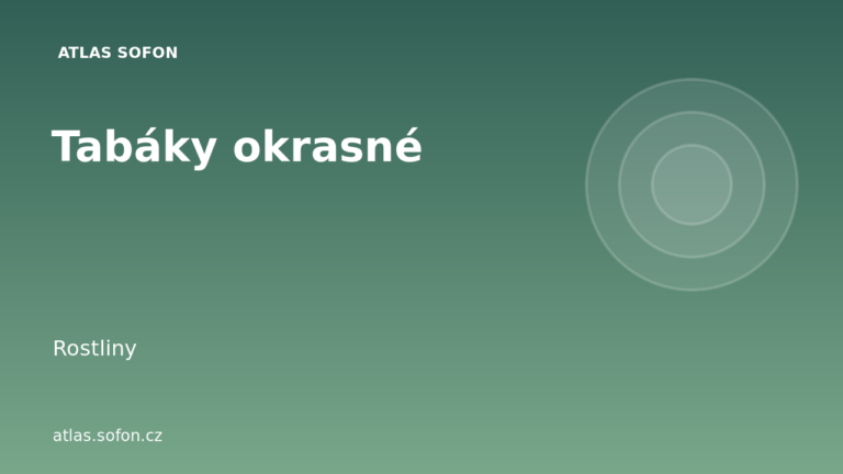 Tabáky okrasné