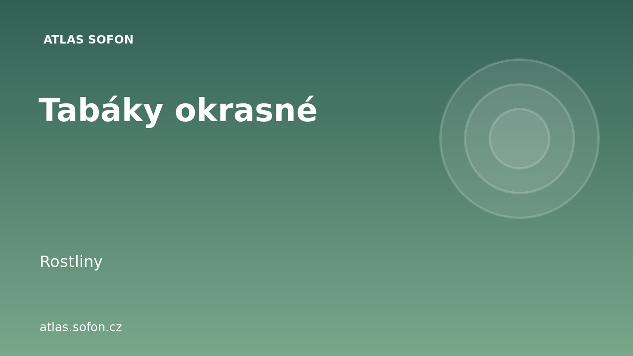 Tabáky okrasné
