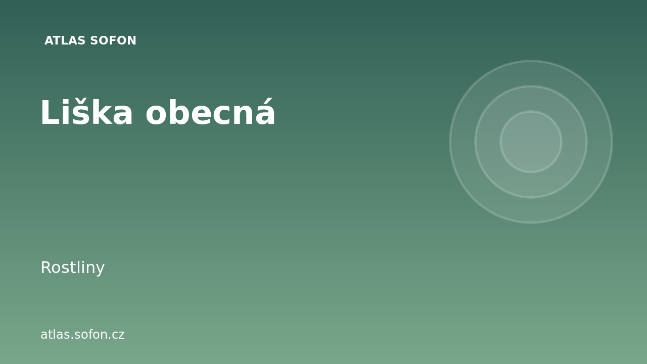 Liška obecná