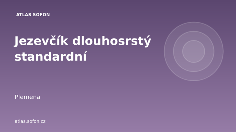 Jezevčík dlouhosrstý standardní