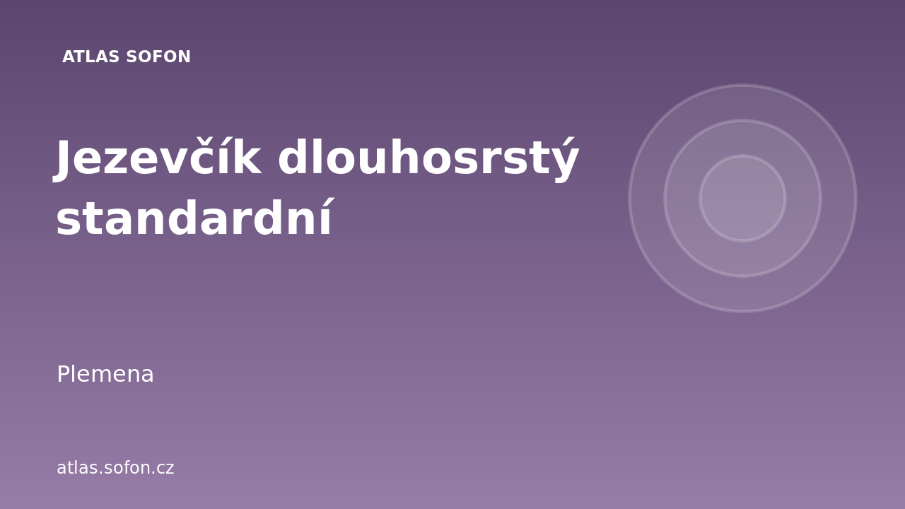 Jezevčík dlouhosrstý standardní
