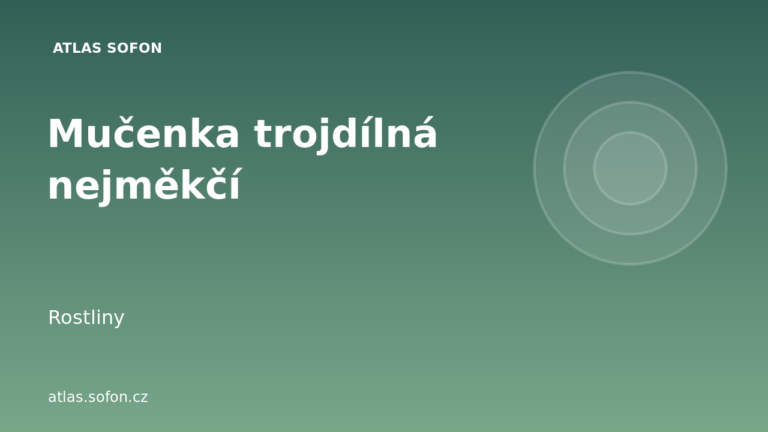 Mučenka trojdílná nejměkčí