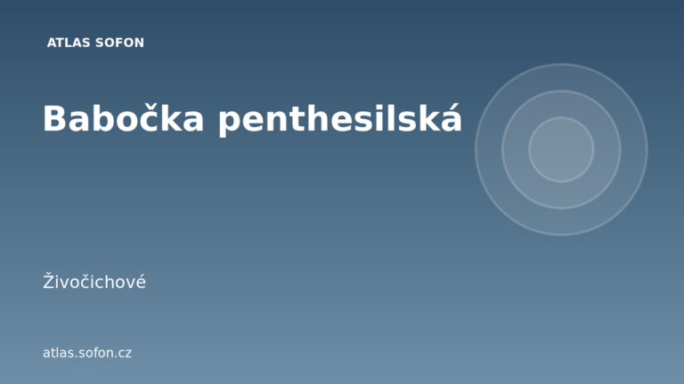 Babočka penthesilská