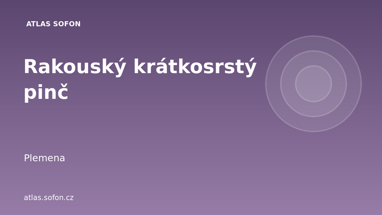 Rakouský krátkosrstý pinč