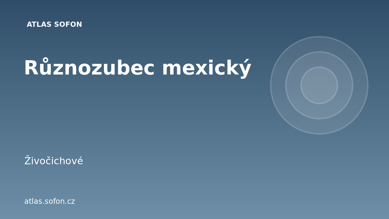 Různozubec mexický