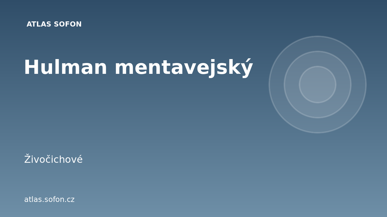 Hulman mentavejský