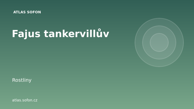 Fajus tankervillův