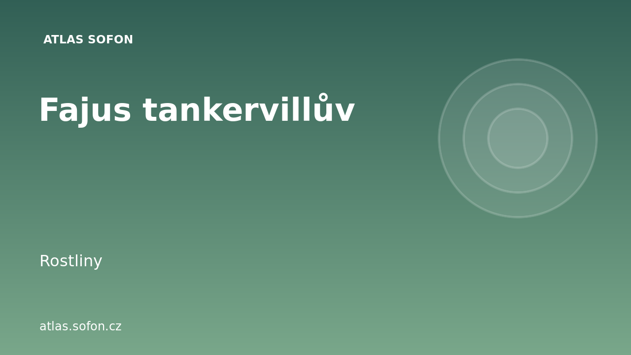 Fajus tankervillův