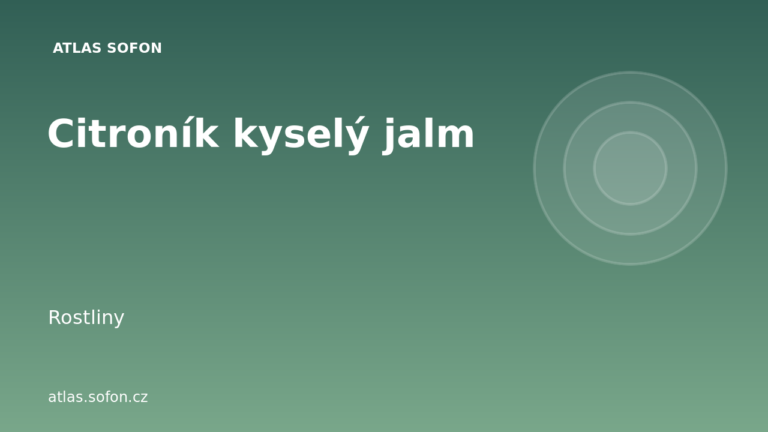 Citroník kyselý jalm