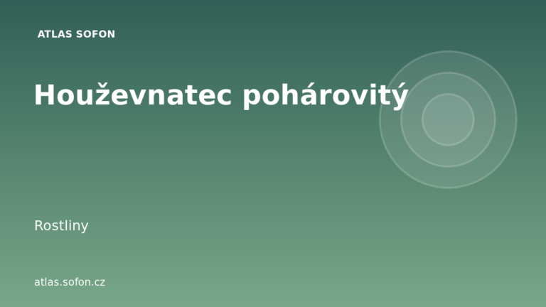Houževnatec pohárovitý