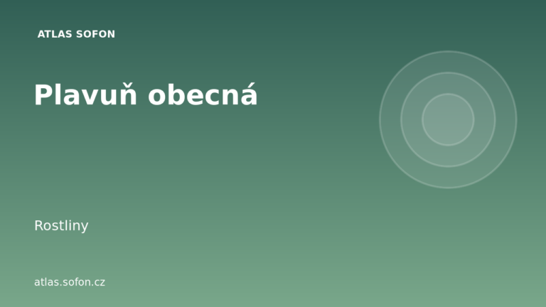 Plavuň obecná