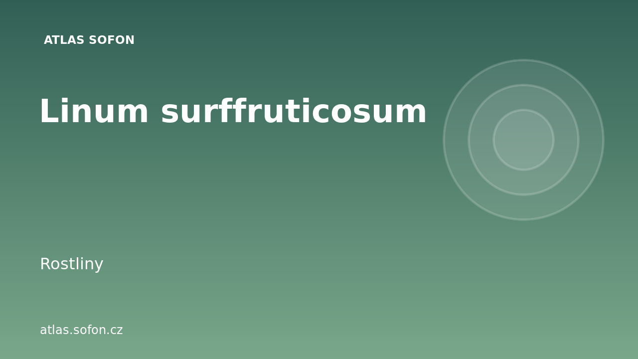 Linum surffruticosum