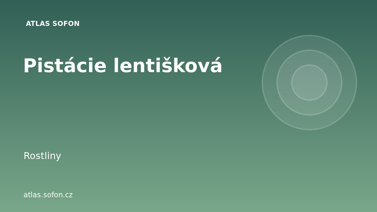Pistácie lentišková