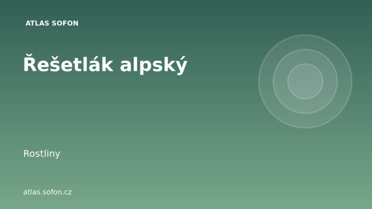 Řešetlák alpský