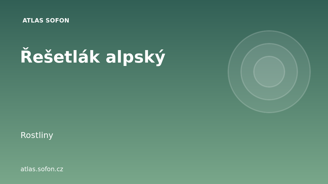 Řešetlák alpský