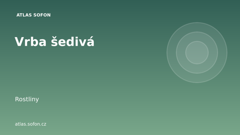 Vrba šedivá