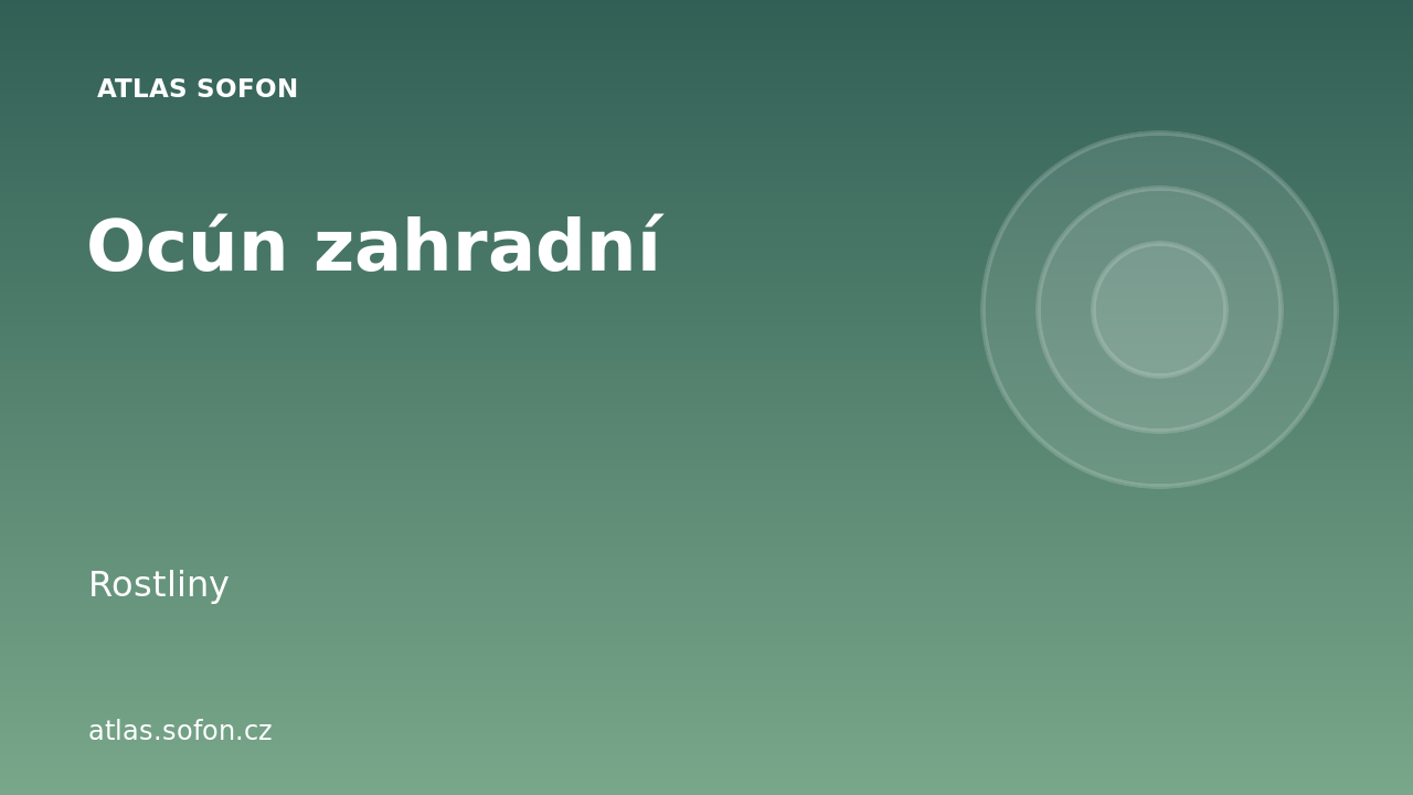Ocún zahradní