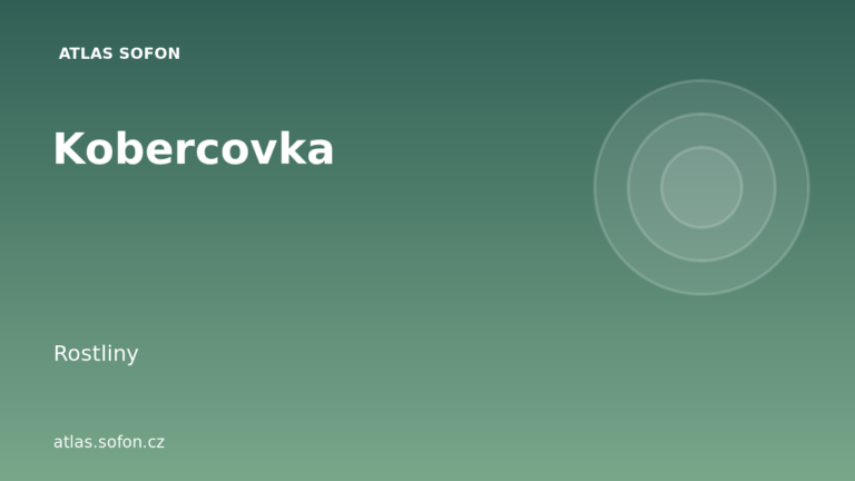 Kobercovka