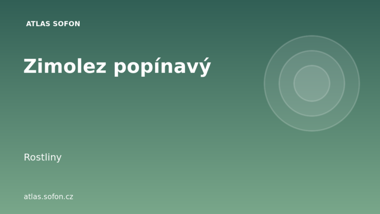 Zimolez popínavý