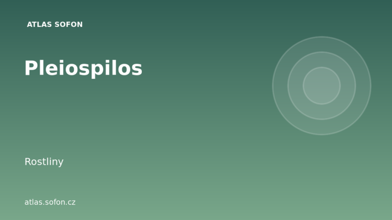 Pleiospilos