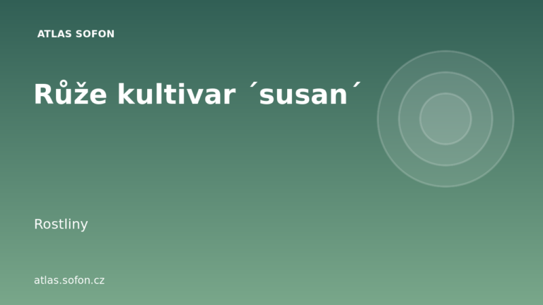 Růže kultivar ´susan´