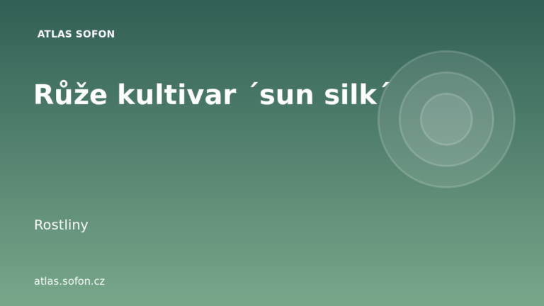 Růže kultivar ´sun silk´