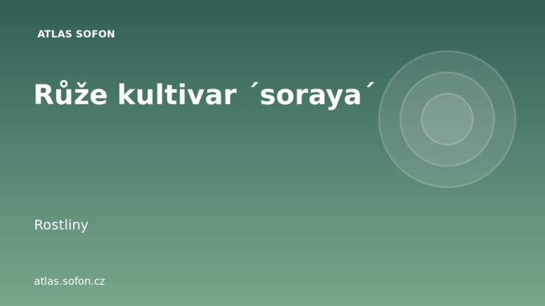 Růže kultivar ´soraya´