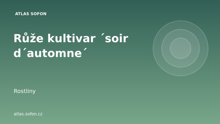 Růže kultivar ´soir d´automne´