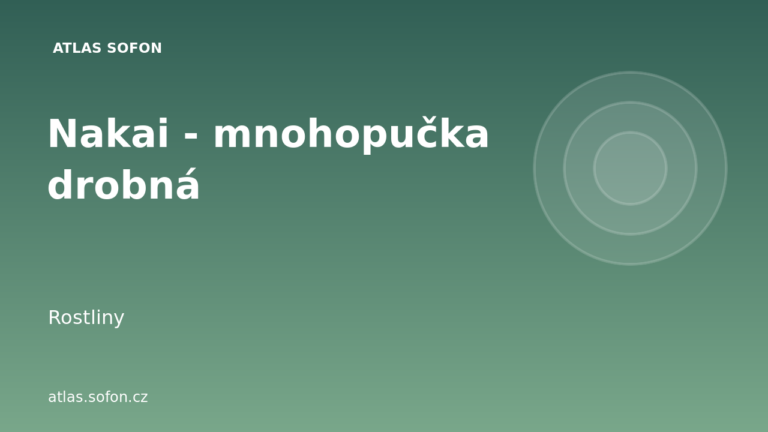 Nakai - mnohopučka drobná