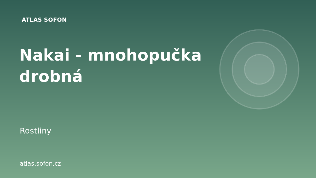 Nakai – mnohopučka drobná
