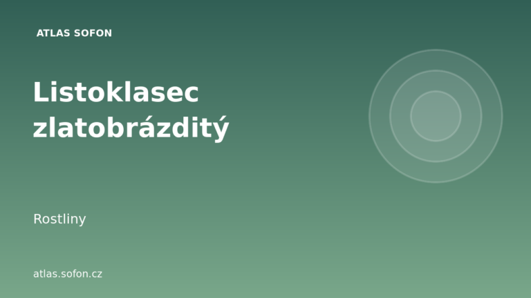 Listoklasec zlatobrázditý