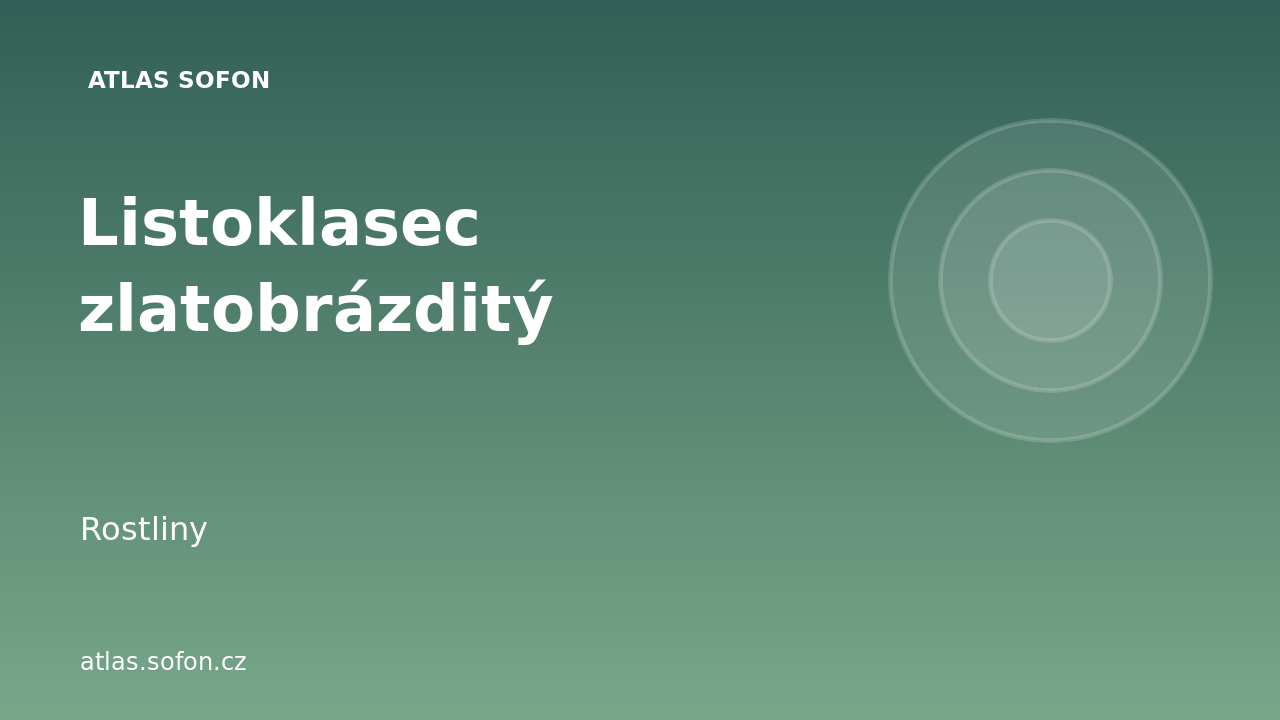 Listoklasec zlatobrázditý
