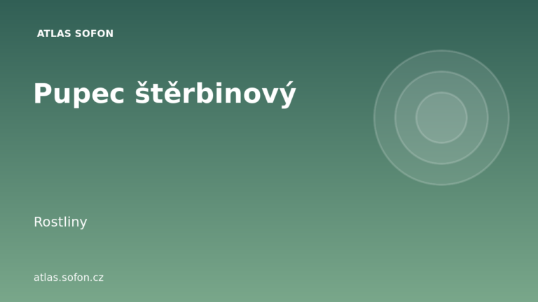 Pupec štěrbinový