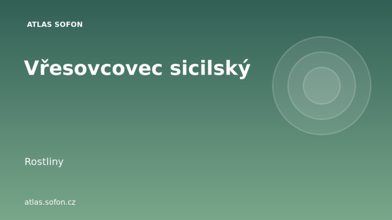 Vřesovcovec sicilský