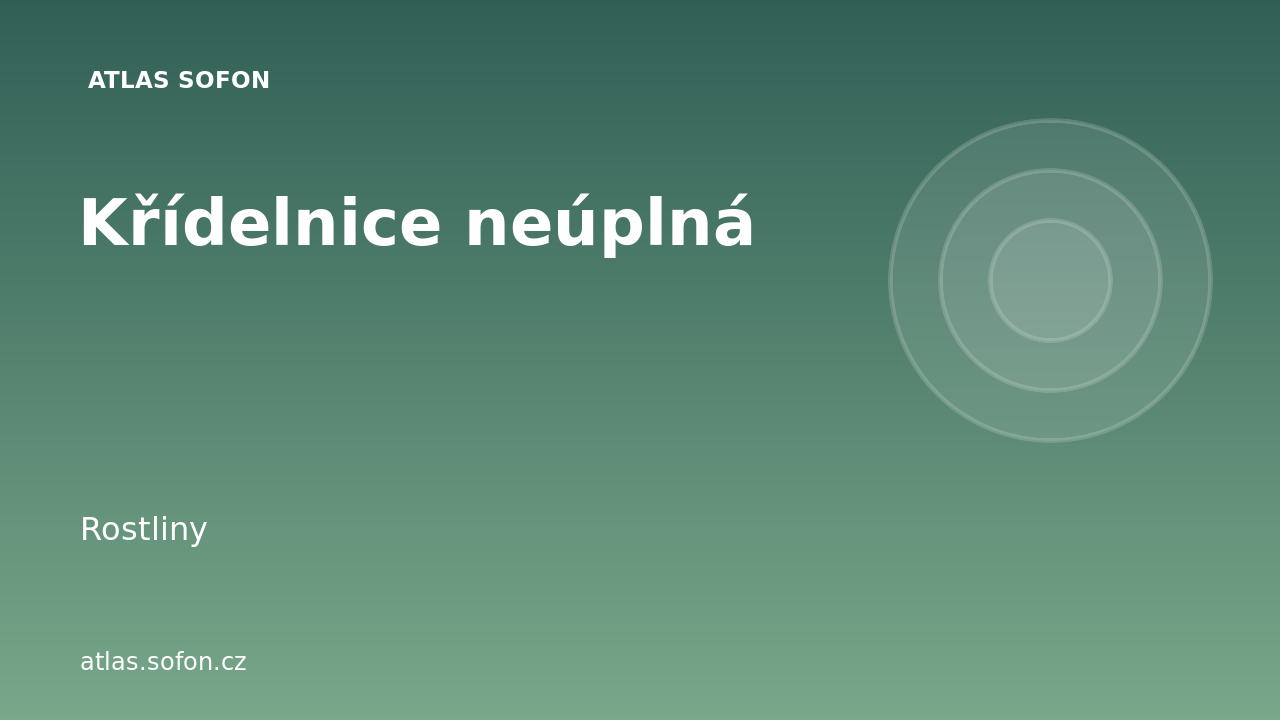 Křídelnice neúplná