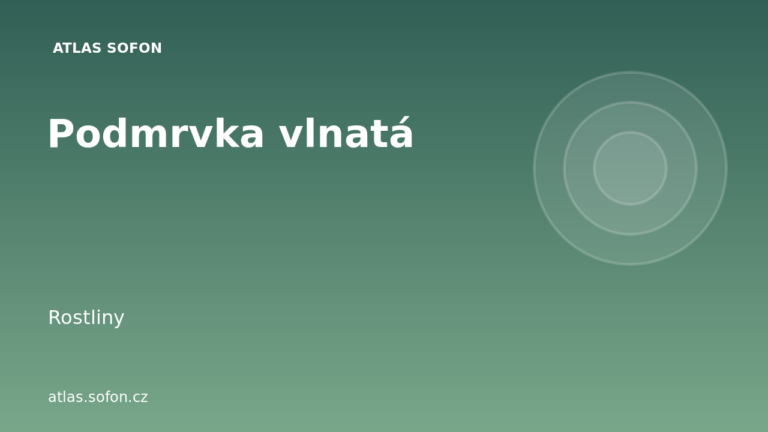 Podmrvka vlnatá