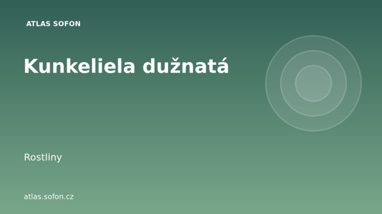 Kunkeliela dužnatá Kunkeliela dužnatá