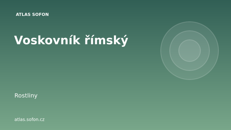 Voskovník římský Voskovník římský