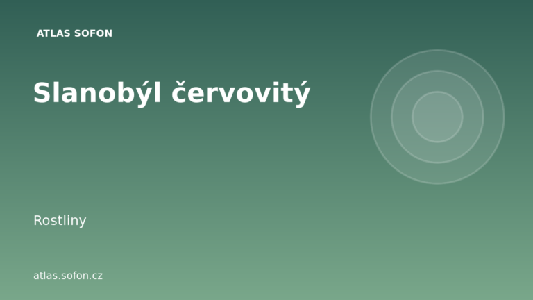 Slanobýl červovitý